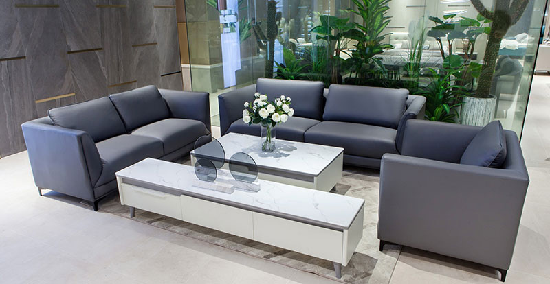 Moderne und modische Wohnzimmer-Ledersofa-Kombination 107953